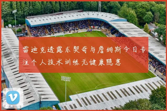 雷迪克透露东契奇与詹姆斯今日专注个人技术训练无健康隐患