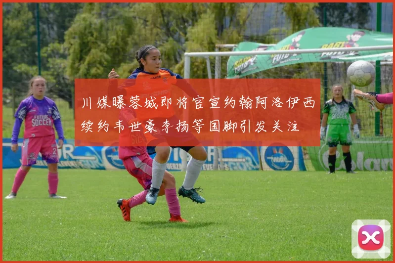 川媒曝蓉城即将官宣约翰阿洛伊西续约韦世豪李扬等国脚引发关注