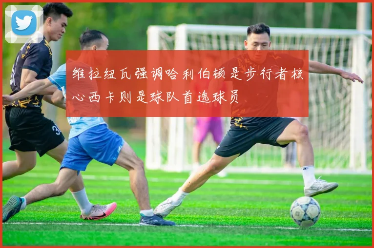 维拉纽瓦强调哈利伯顿是步行者核心西卡则是球队首选球员