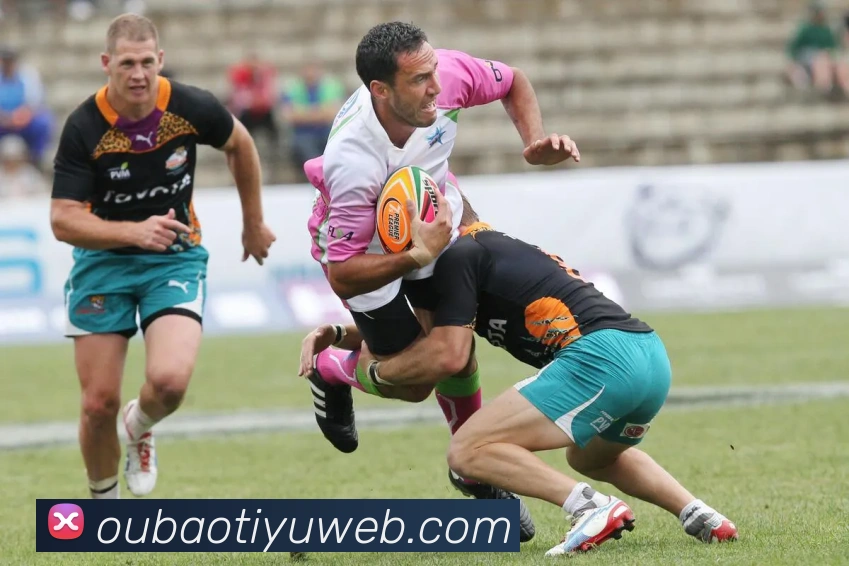 多媒体互动体验