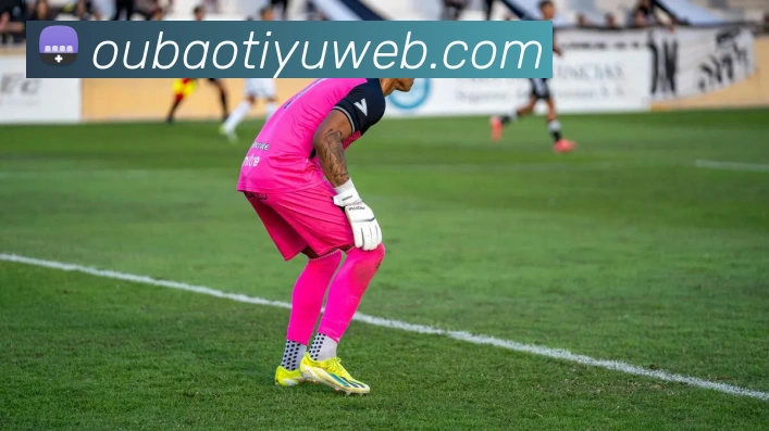 欧宝体育APP 高清赛事图